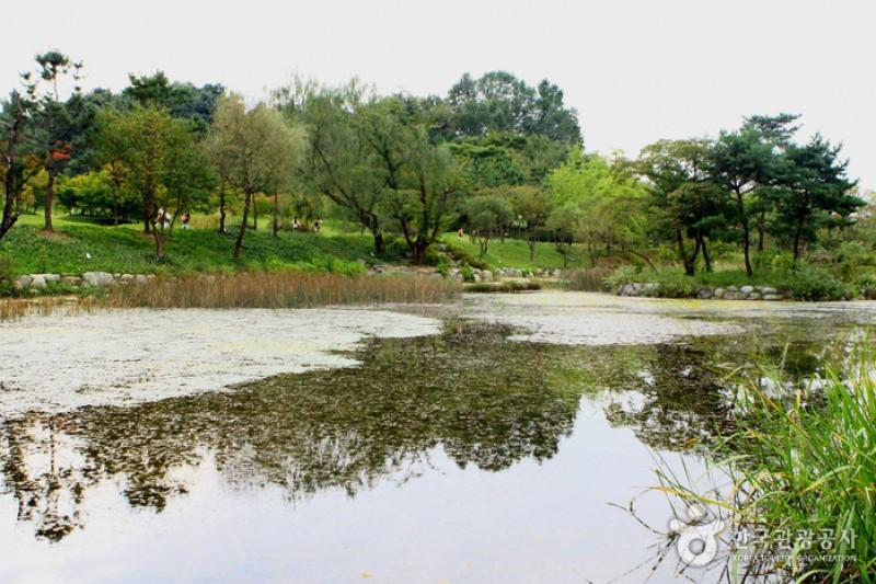 京畿道立水香树木园