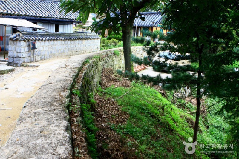 京畿道立水香树木园