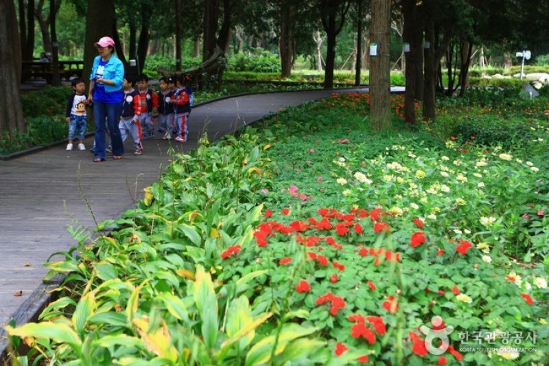 京畿道立水香树木园