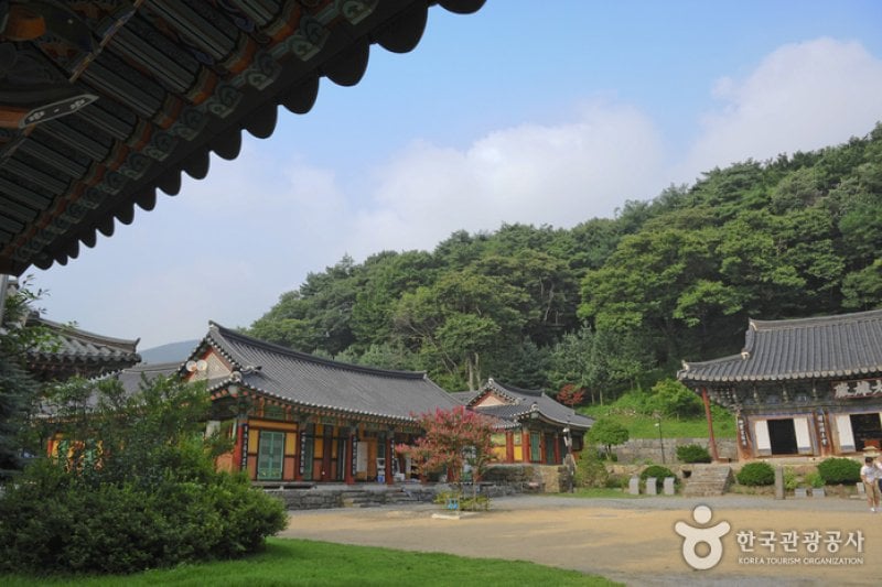 青龙寺(청룡사)