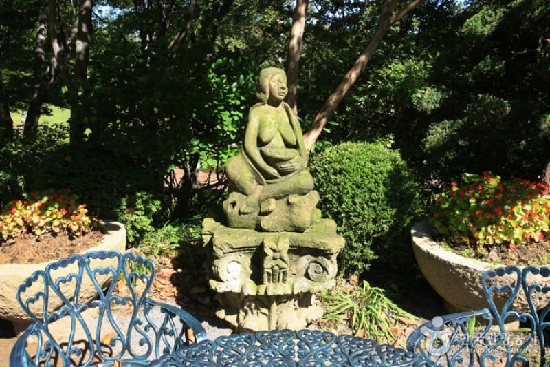 中南美文化院
