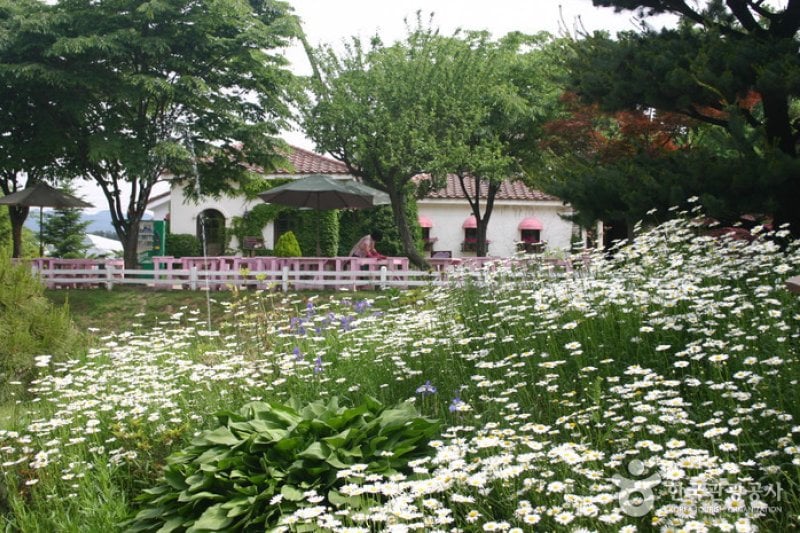 日迎香草乐园
