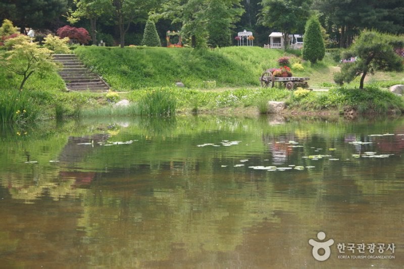 日迎香草乐园