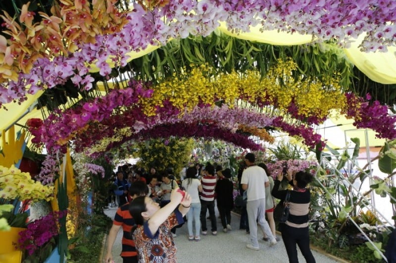 高阳国际花卉博览会