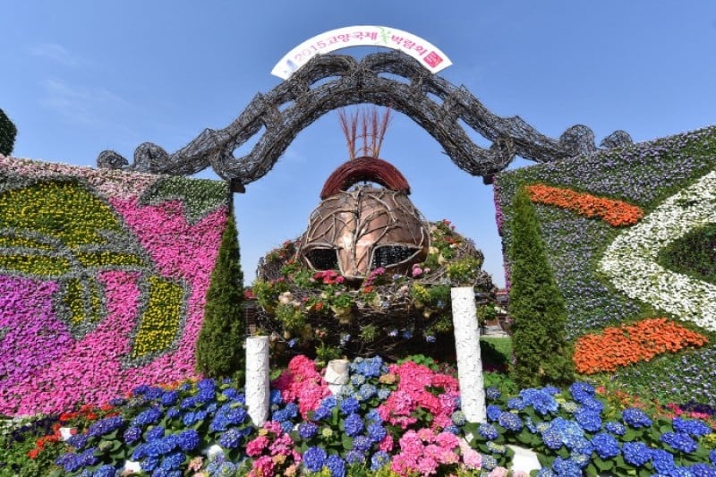 高阳国际花卉博览会