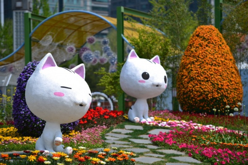 高阳国际花卉博览会