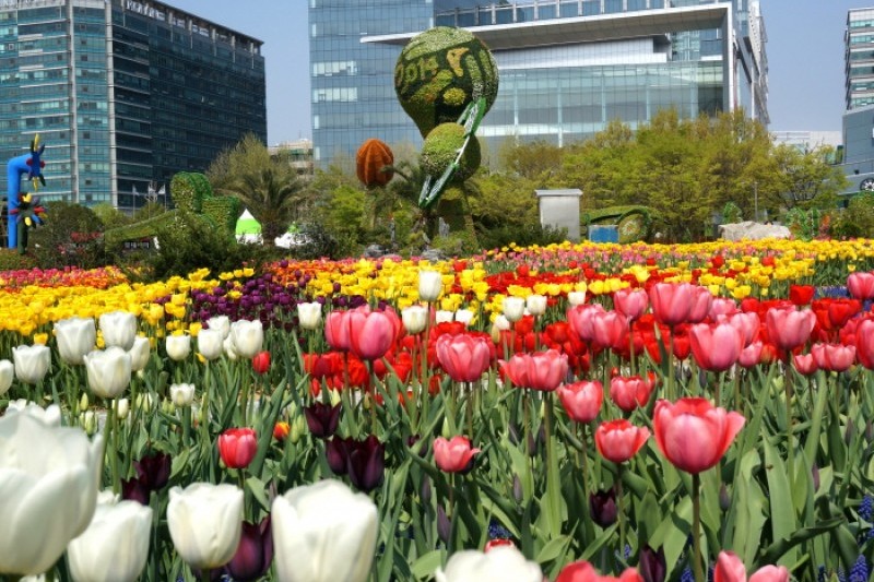 高阳国际花卉博览会