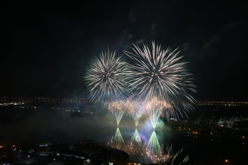 高阳国际花卉博览会
