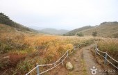 鸣声山