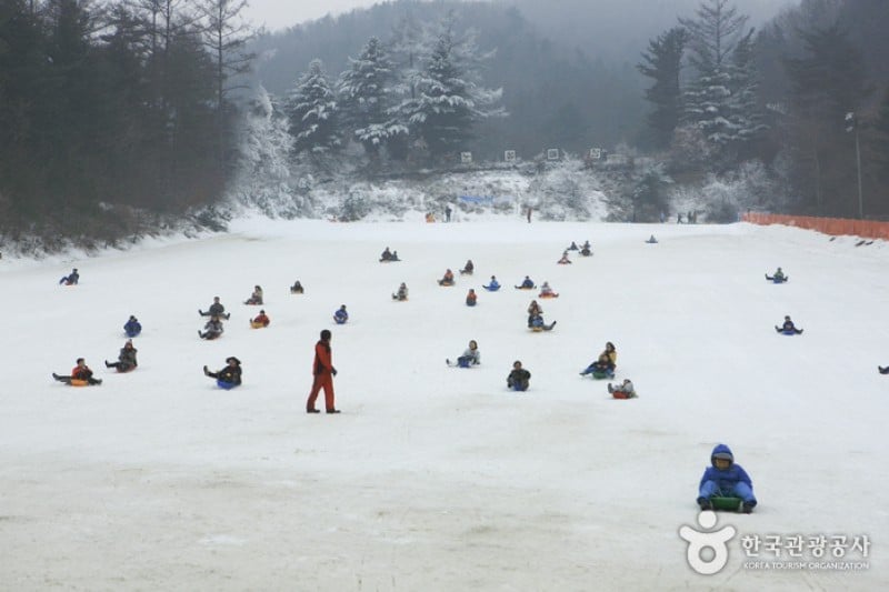 杨平韩华度假村雪橇场 (1/11)