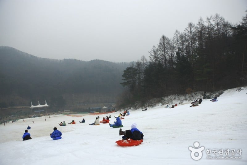 杨平韩华度假村雪橇场 (2/11)