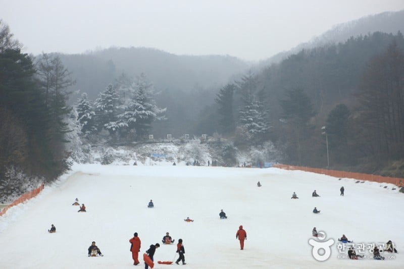 杨平韩华度假村雪橇场 (5/11)