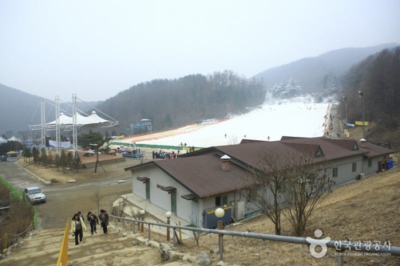 杨平韩华度假村雪橇场 (6/11)