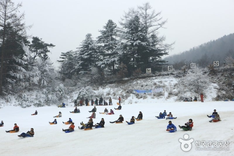 杨平韩华度假村雪橇场 (8/11)
