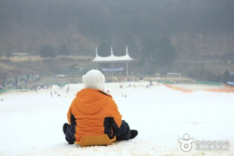 杨平韩华度假村雪橇场 (9/11)
