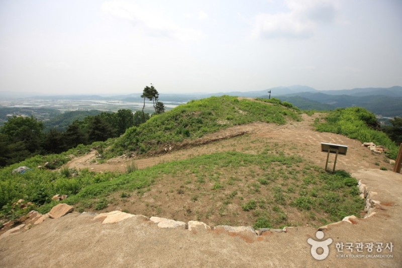婆娑城 (2/6)
