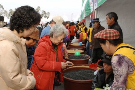 坡州长湍豆节
