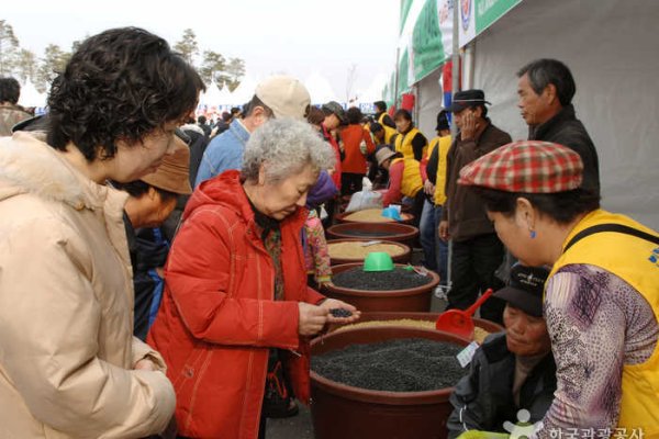 坡州长湍豆节