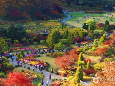 晨静树木园