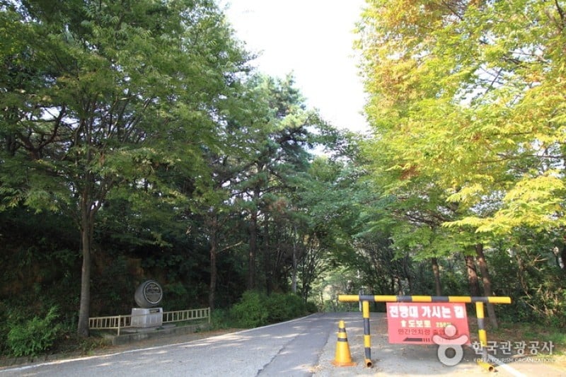 爱妓峰