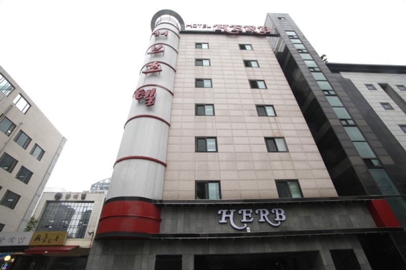香草酒店[优秀住宿设施] (1/1)