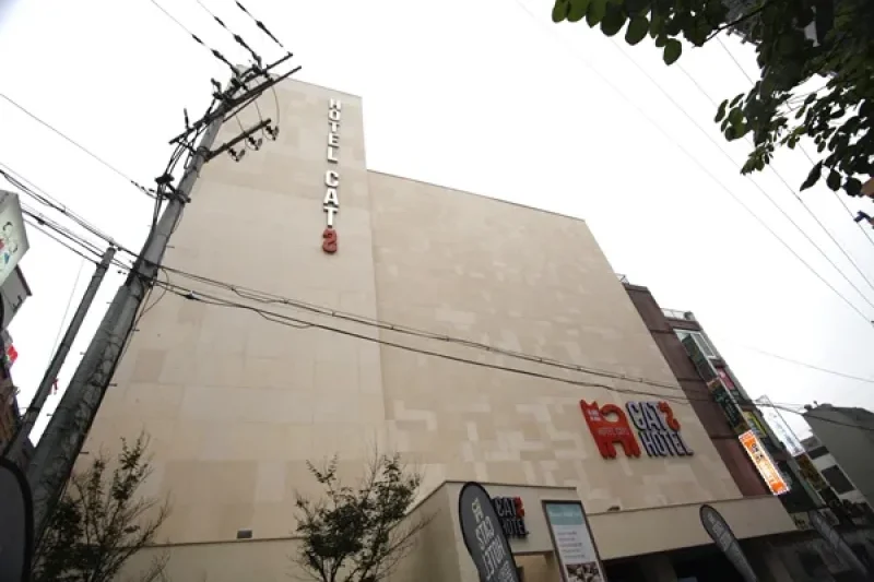 猫之酒店[优秀住宿设施] (1/1)