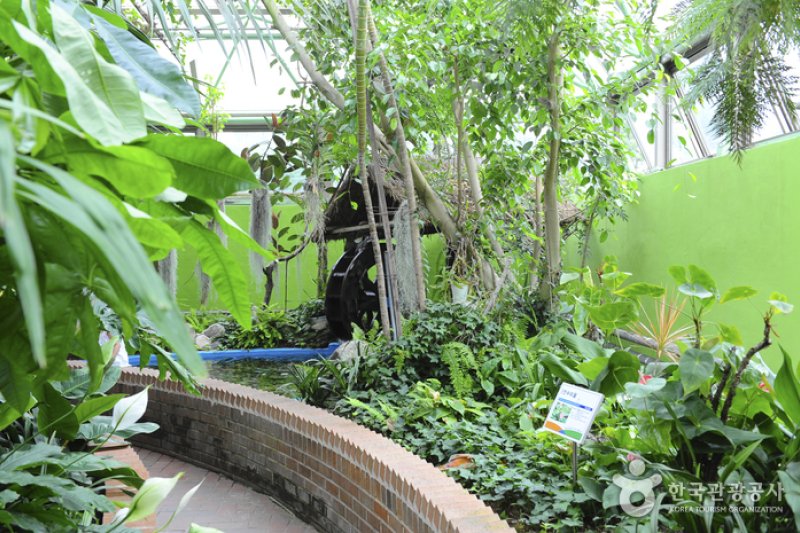 安山植物园 (3/15)