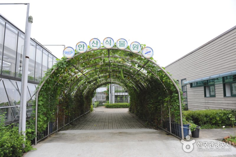 安山植物园 (6/15)