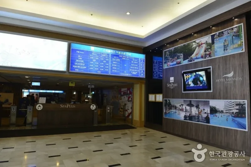 米兰达酒店游泳场（室内·外）（호텔미란다수영장 (3/6)