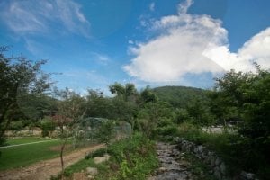 有明山유명산