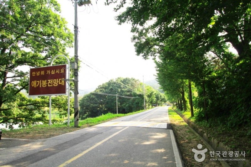 爱妓峰