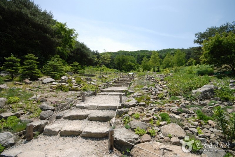 平康植物园