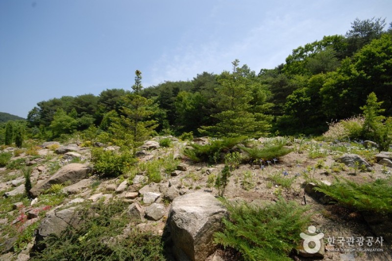 平康植物园