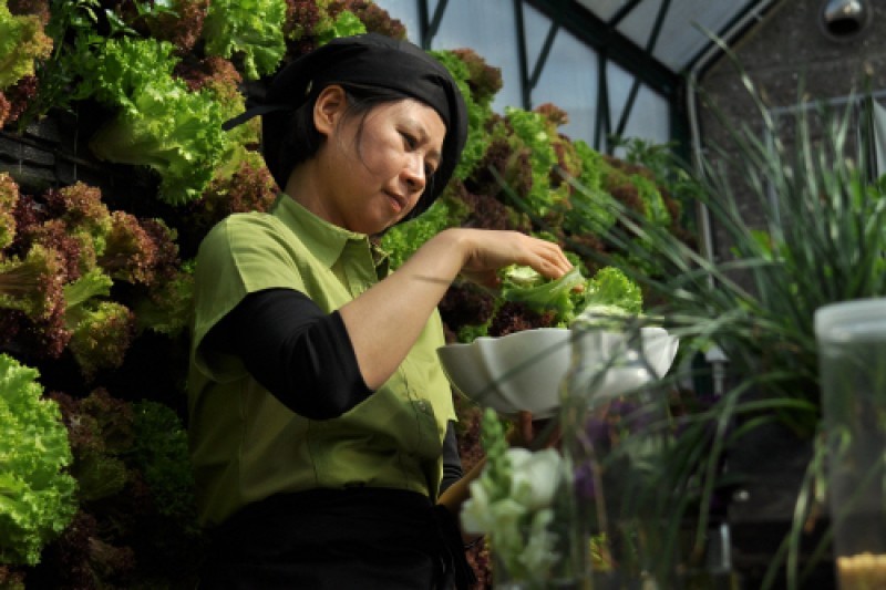 植物园 K