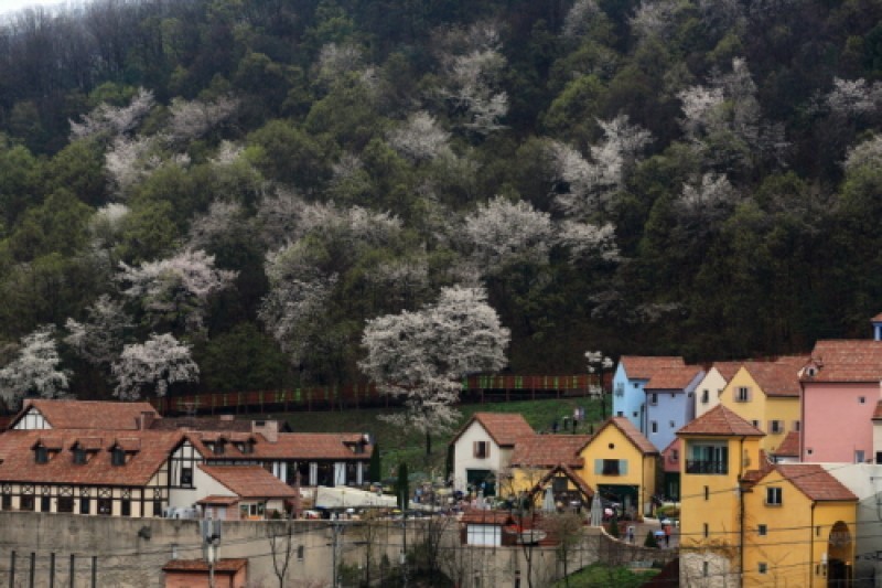 小法兰西(Petite France)