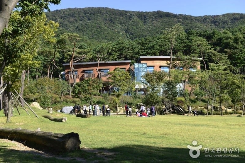 龙仁自然休养林