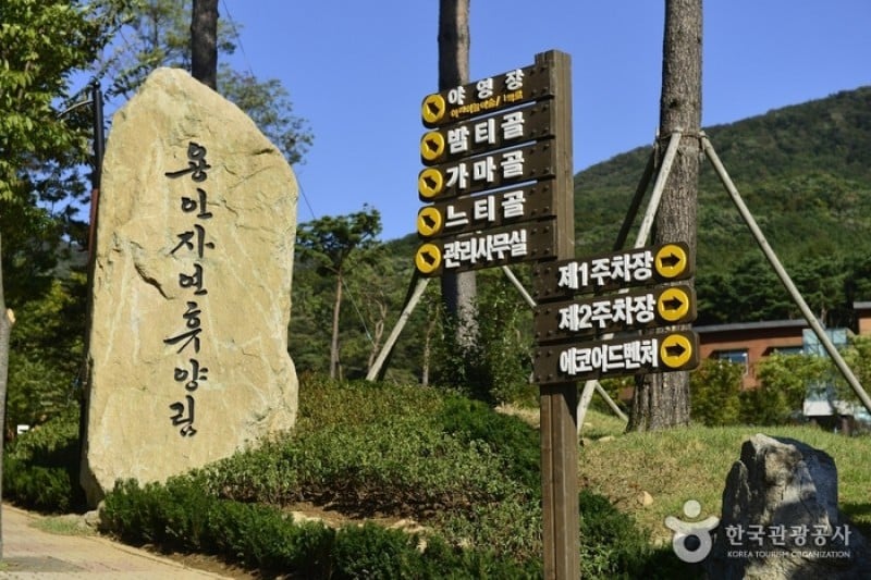 龙仁自然休养林