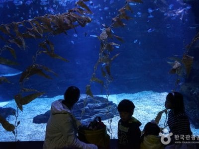 Aqua Planet海洋世界一山店