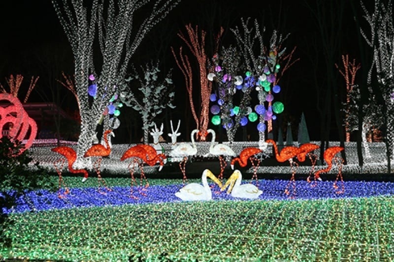 安山星光村Photo land光庆典