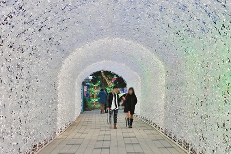安山星光村Photo land光庆典