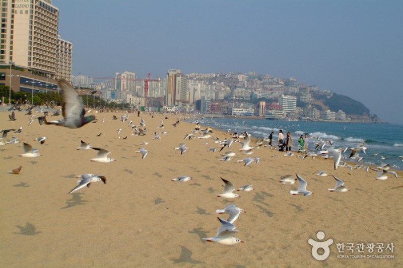 海云台海水浴场