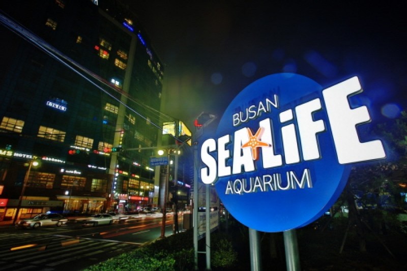 釜山水族馆