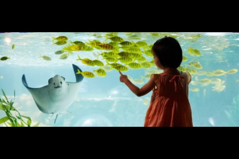 釜山水族馆