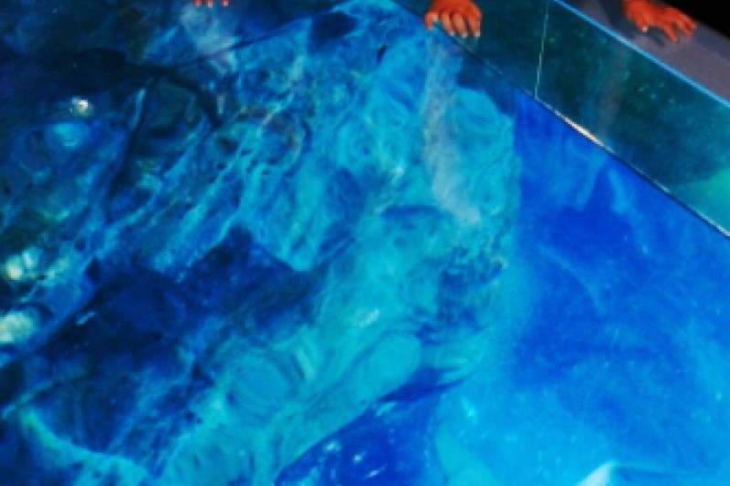 釜山水族馆