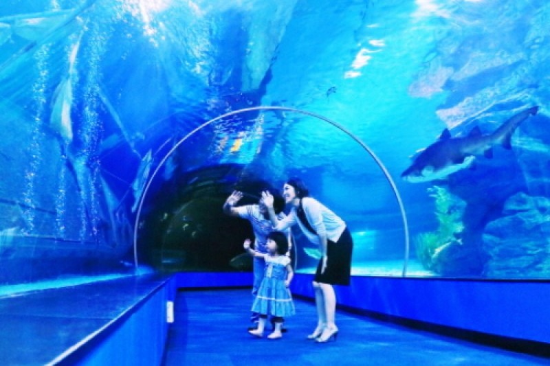 釜山水族馆