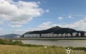 洛东江候鸟栖息地