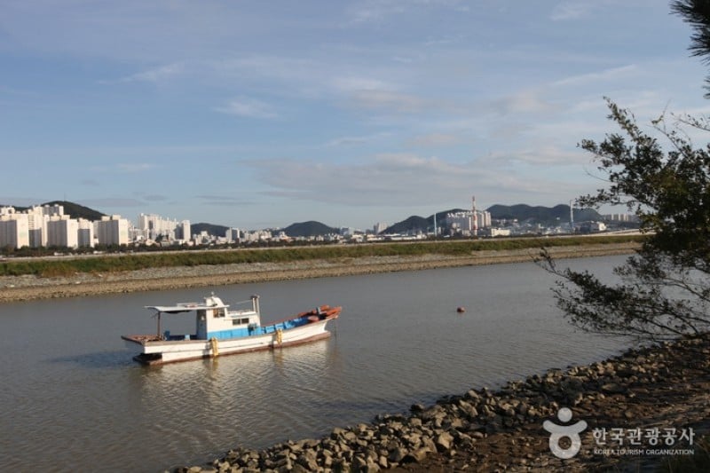 洛东江候鸟栖息地
