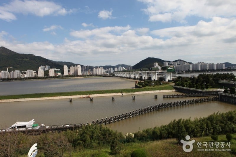 洛东江候鸟栖息地
