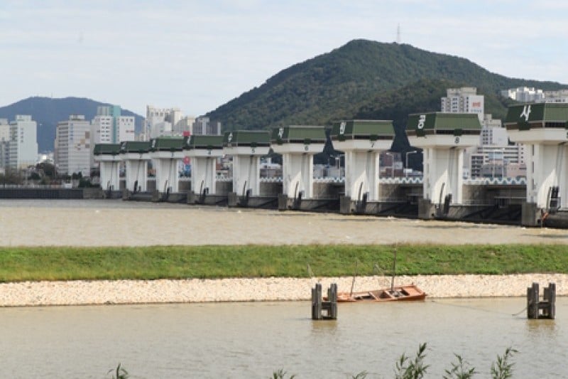 洛东江候鸟栖息地