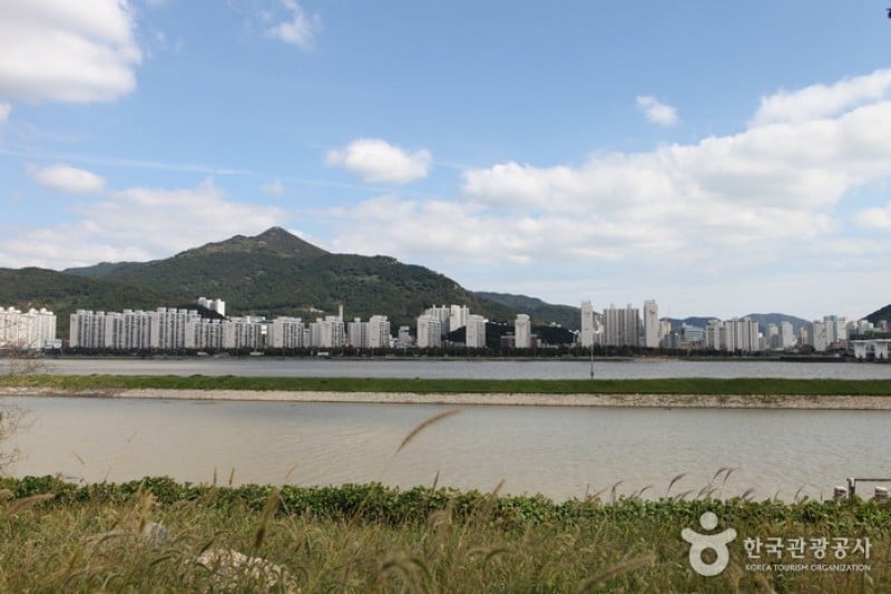 洛东江候鸟栖息地